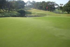 Par3 no Campo de Golfe do Sao Paulo Golf Club.