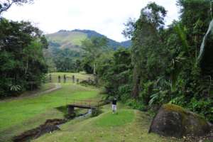 Floresta tropical de Campo de Golfe do Frade Golf Club em Angra dos Reis.