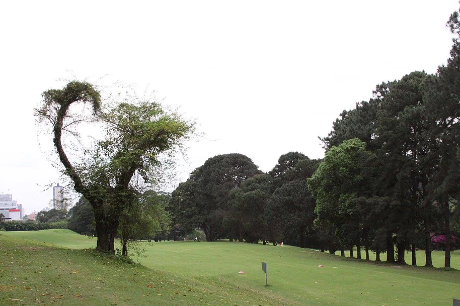 Fairway no Campo de Golfe do Sao Francisco Golf Club in Osasco.